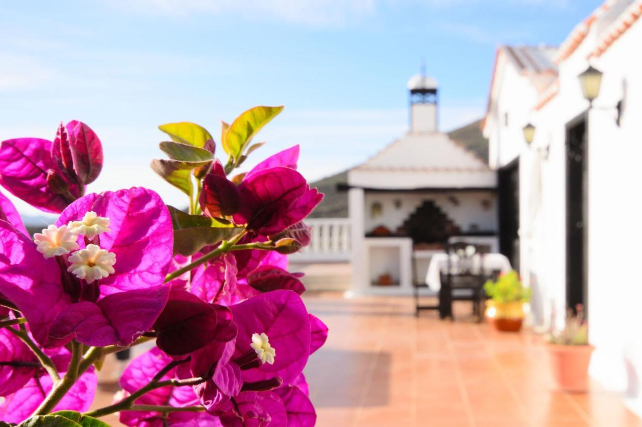 Casa Clara 3 Villa Conil Екстериор снимка